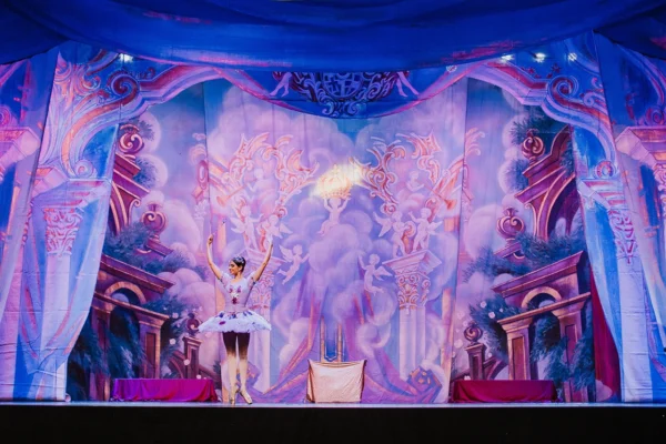 balet_luskacik_labutie_jazero_showslovakia_6